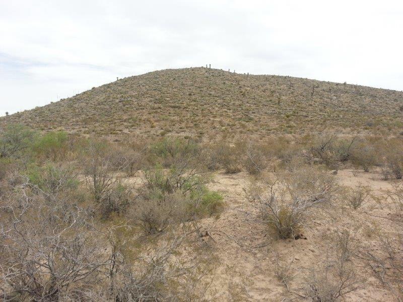 I-10 Ranch Land